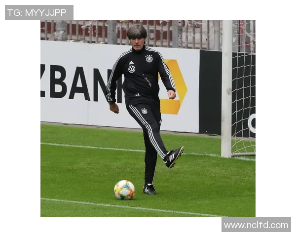 南京足球队在欧锦赛中的个人能力表现分析与点评