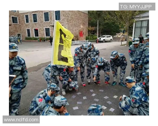 武汉排球队阵地战革新探索新战术与团队协作的深度融合